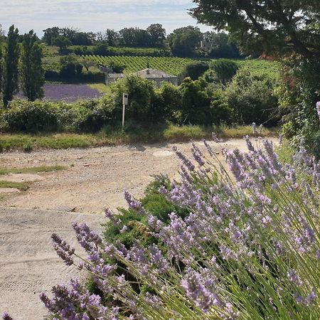 Le Clos Du Grand Chene - Gites 4 Etoiles - サン＝マルセル＝ダルデシュ エクステリア 写真