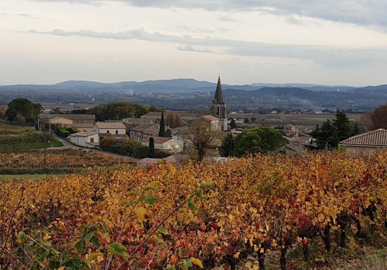 Le Clos Du Grand Chene - Gites 4 Etoiles - サン＝マルセル＝ダルデシュ エクステリア 写真